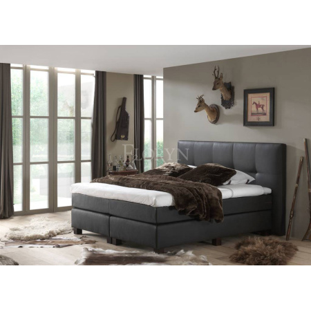 Floryn Van Ravensteyn Electro