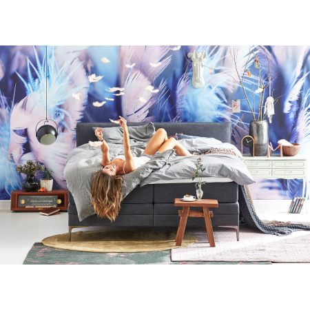 Cinderella Pure Electro