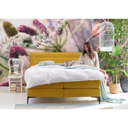 Cinderella boxspring Tender