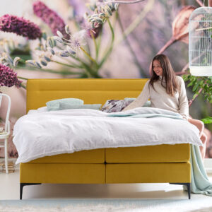 Cinderella boxspring Tender