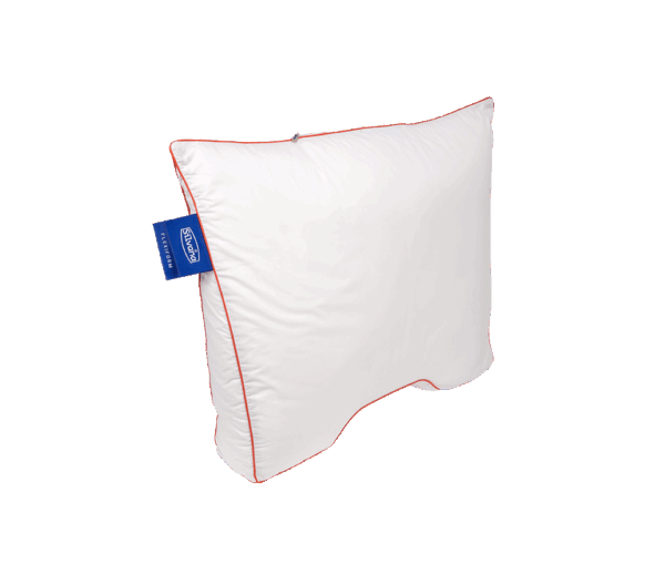 Kussen Silvana Flexiform Sgaap 1