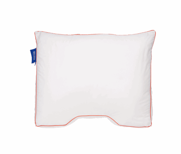 Kussen Silvana Flexiform Sgaap 2