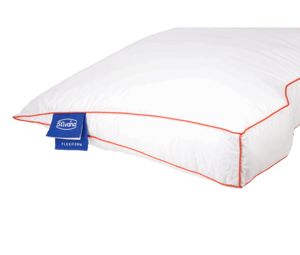 Kussen Silvana Flexiform Sgaap 5
