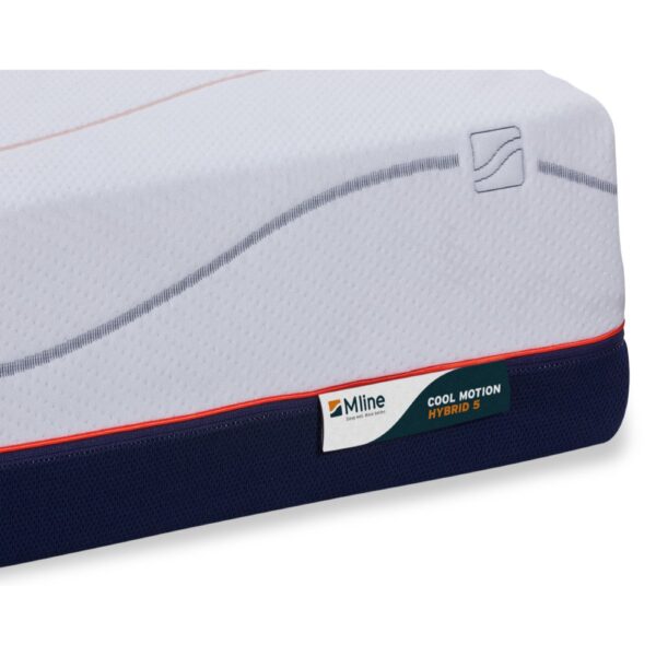 M Line Cool Motion 5 label Sgaap