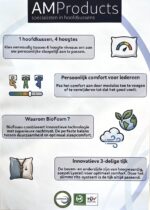 Kussen Verso Sgaap